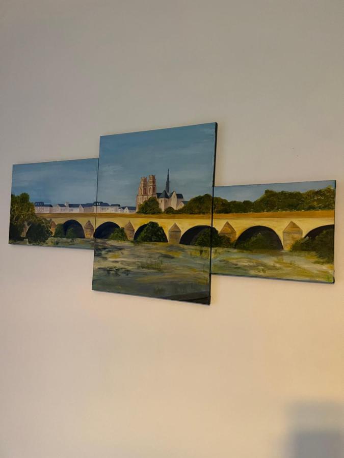 Cosy Loire, T2 Neuf, Front De Loire ,Vue Cathedrale,5Min A Pied Centre Ville Et Parking Prive Orléans Esterno foto